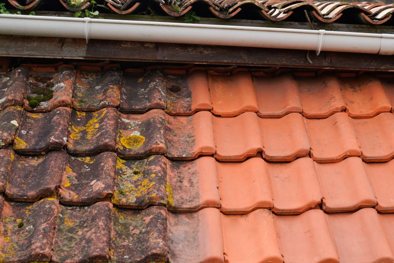 Tile Roof Restoration