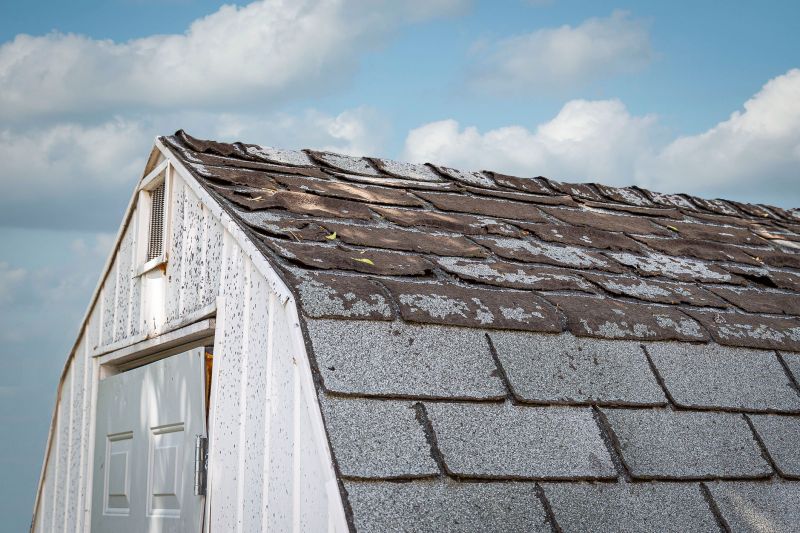 Spring Roofing Maintenance